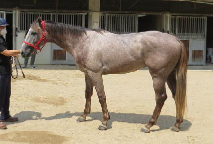 �۷ι����� ����