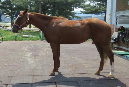 �ô��ڸ��� ����