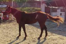 ����Ʈ������ (FIGHT TODAY) ����