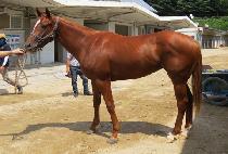 ��������� (WUJEONGUI HYANGGI) ����