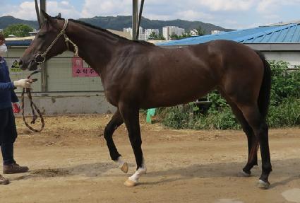 ȭ�� ����