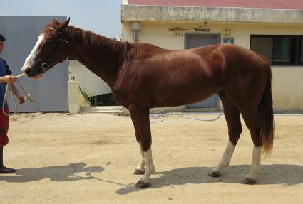 ����Ƽ�� ����