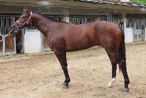 �ְ�ĸƾ (CHEOGANG CAPTAIN) ����