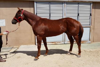 ���̾�Ʈĸƾ ����