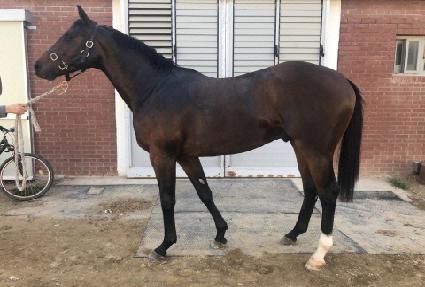 ���� ����