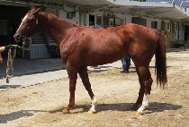 ���ɴ�� (BONNEUNG DAERO) ����