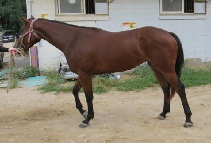 �����弫�� ����