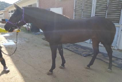 �����̸��� ����