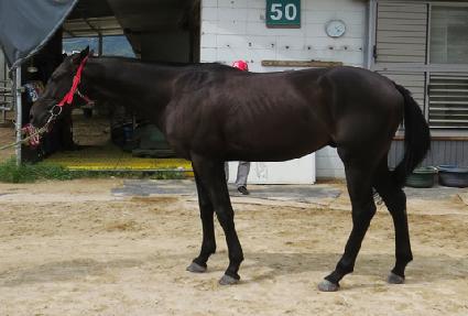 �ǿ��������� ����