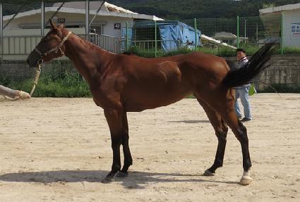 �ǿ������ʷ� ����