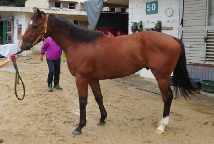 �ǿ��������� ����