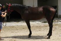 �ٴٺ� (DADABI) ����