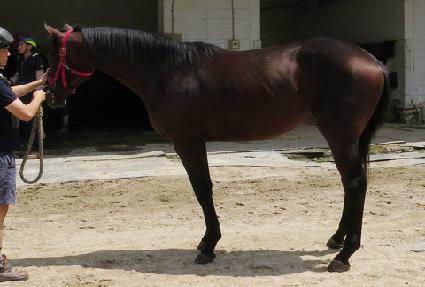 �ٴٺ� ����