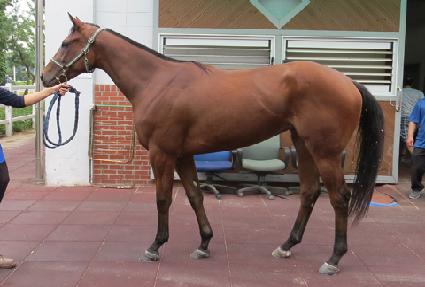 ������ ����