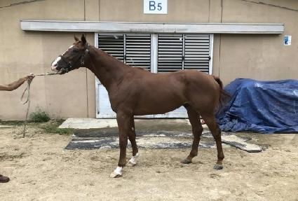 ���丮�� ����