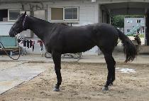 û������ (CHEONGSU YEOJE) ����