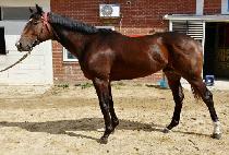 �����ٿ��Ʈ�� (CEEYOUDOWNTHETRACK) ����