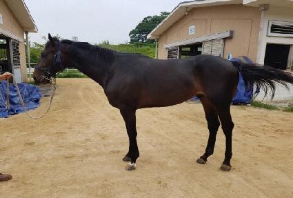 ����ŷ���� ����