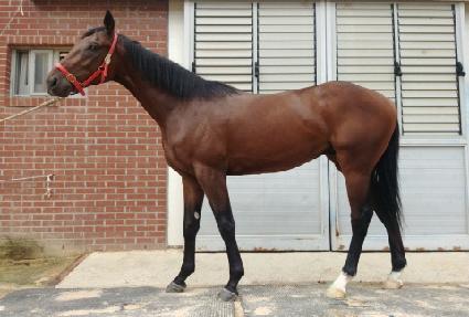 ��������Ʈ ����