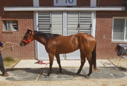 �������� ����