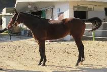 ���������� (MUNHAKUI JEONSA) ����