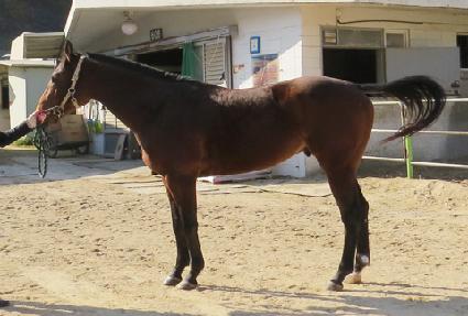 ���������� ����