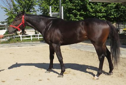 ��õġ�� ����