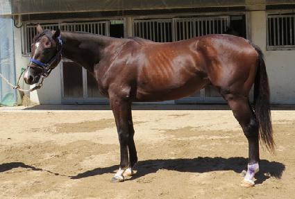 ���� ����