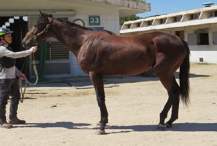 �ݾ�Ȧ�� ����