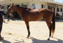 ��Ŭ�� (UNCLE OH) ����