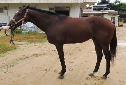 ��������Ŀ ����