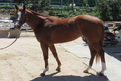 �ٷ� ����