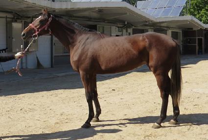 ��Ƽŧ���� ����