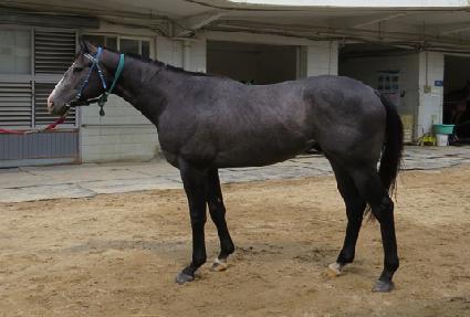 �����ù� ����