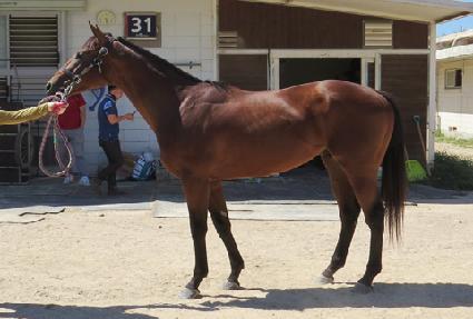 �޵�ġ�۷θ� ����