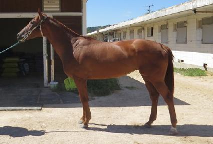 �Ƶ����� ����