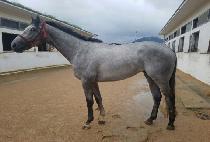 �¾��̶�� (TAEYANGI TTEUNDA) ����