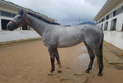 �¾��̶�� ����