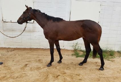 �극�̺�ŷ�� ����