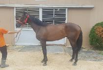 ���ƿ½ż��� (DORAON SINSEDAE) ����