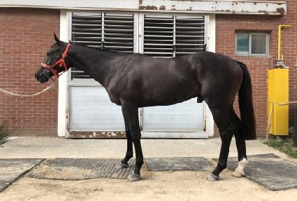 ��¥���� ����