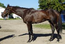 J. S. CHOICE picture