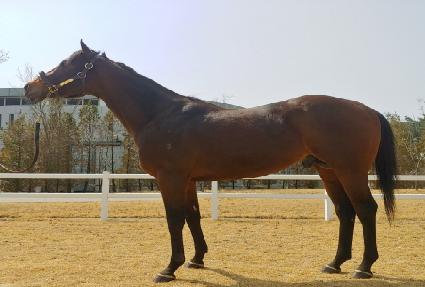 �̽���ũ�ο� ����