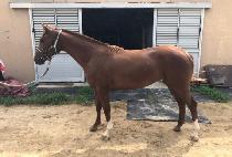 SMILE WINNER picture