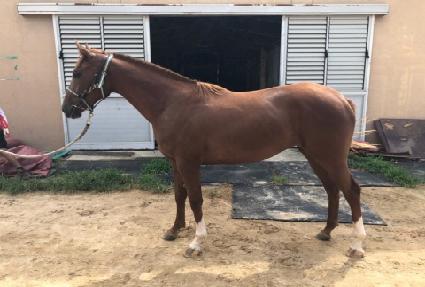 ���������� ����