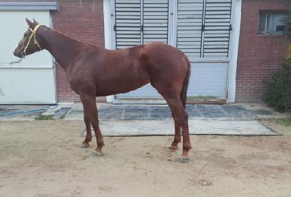 ��Ʈ���� ����