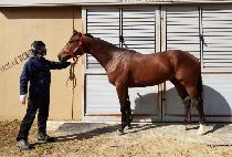 �����κ� (MALIBU BYEOL) ����