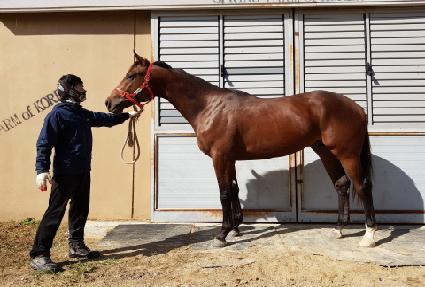 �����κ� ����