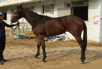 �������� (BOMOON JEONGGI) ����