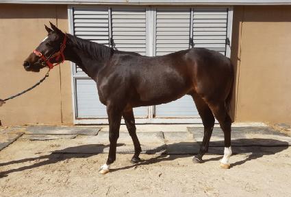 ������ ����